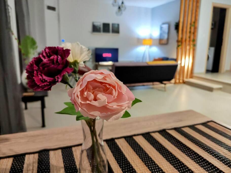 Apartment Litohome The Gods Oasis