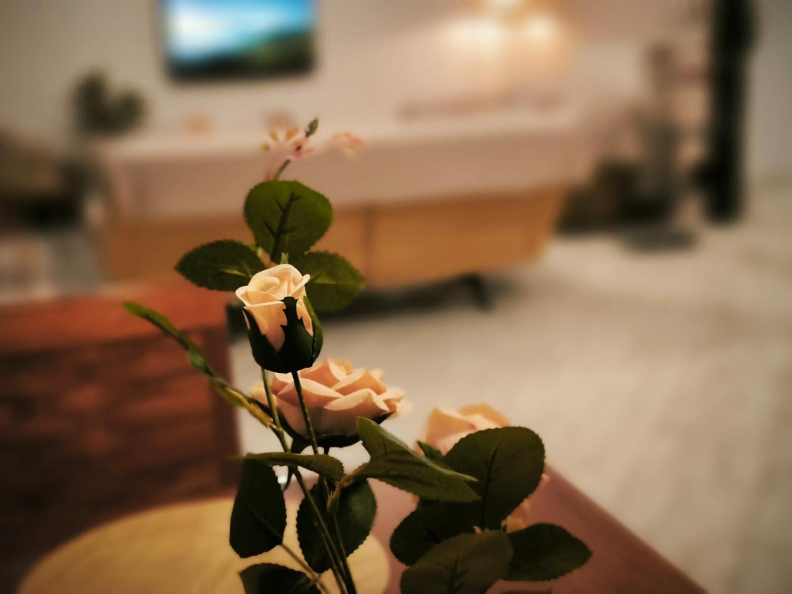 Apartment Litohome The Gods Oasis *